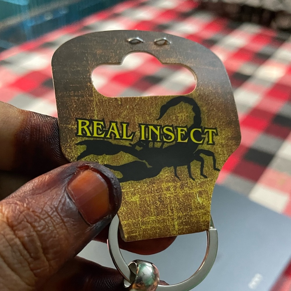 Real insect key chain - Picture 6 of 7